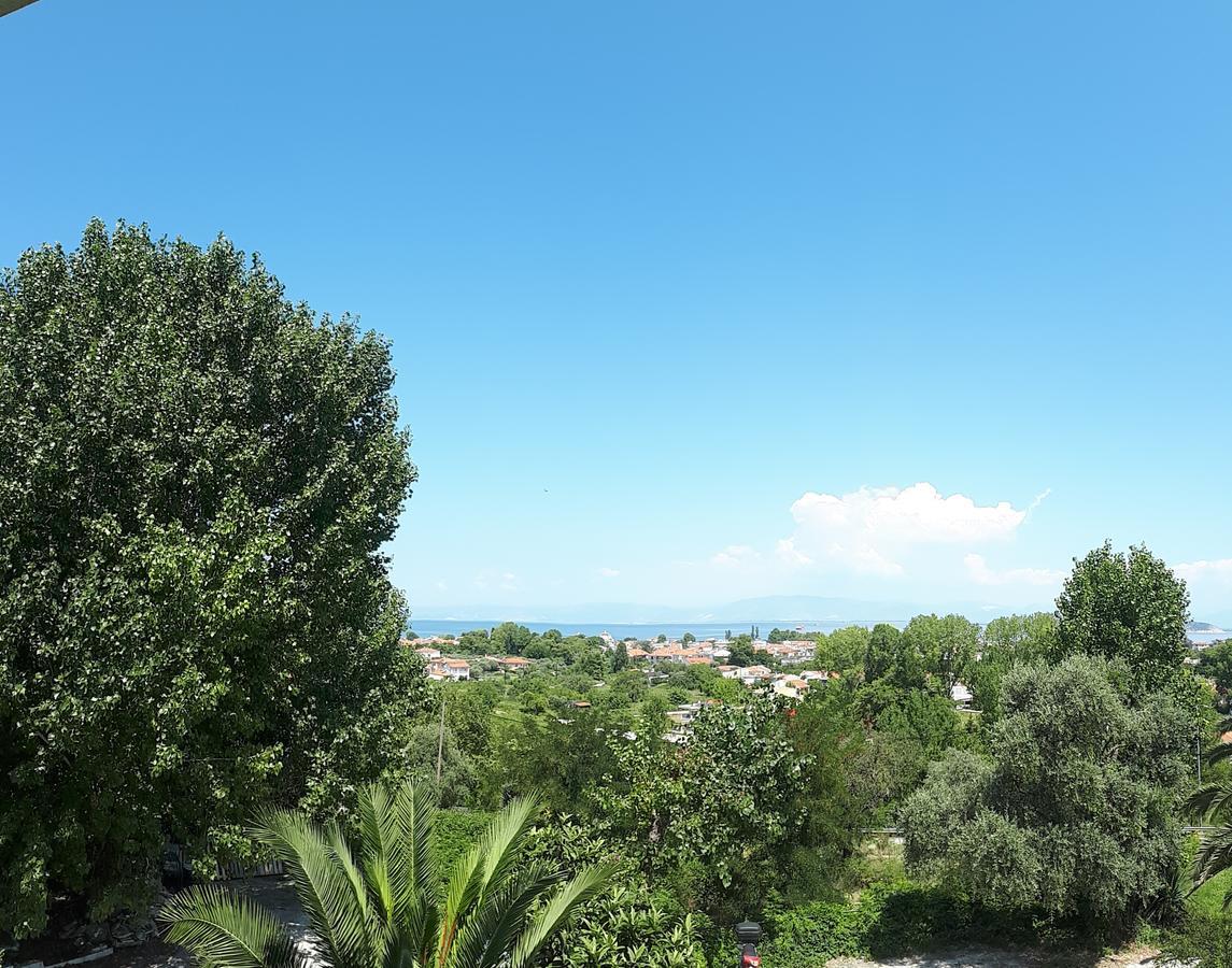 Studios Thea Fresh Rooms Thassos エクステリア 写真